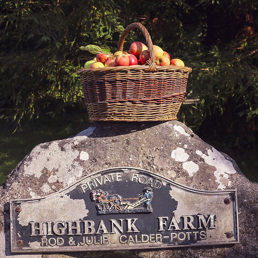 Basket of apples on boulder with Highbank Farm sign.