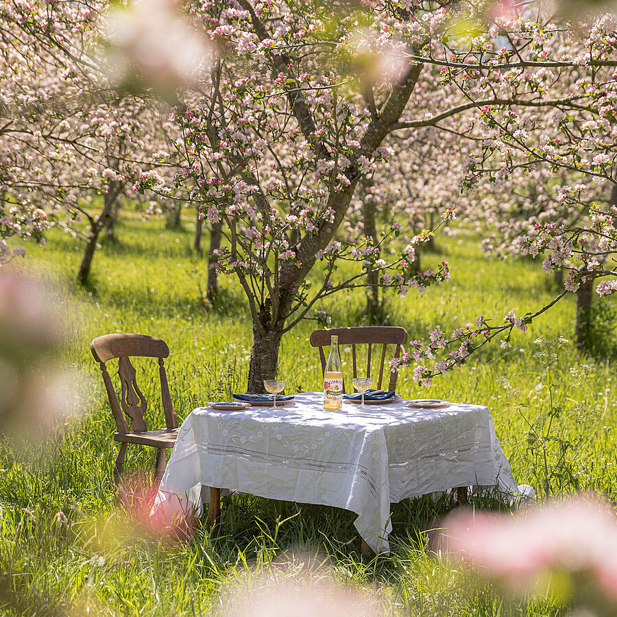 Table setup with Highbank products in the Orchard
