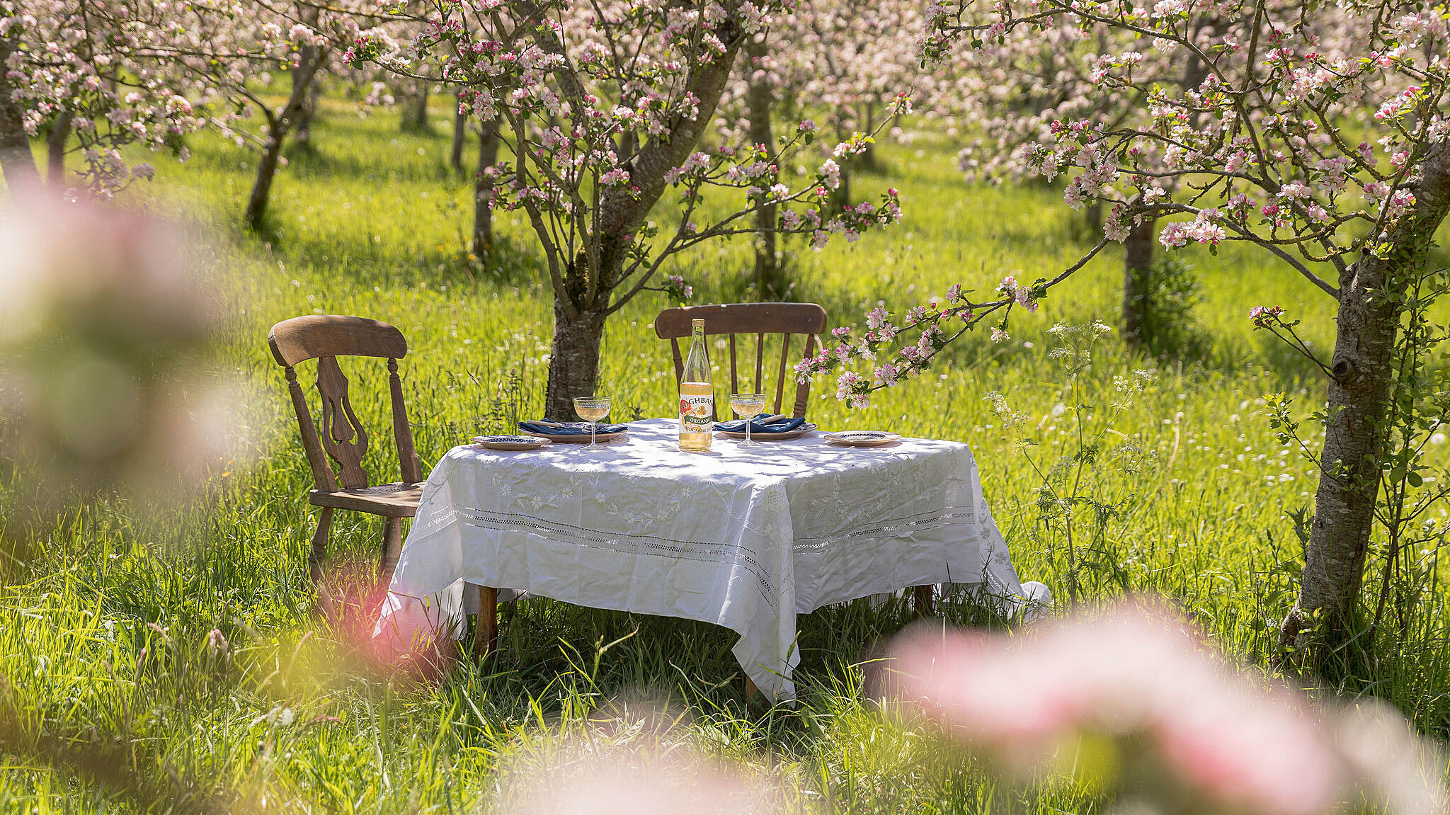 Table setup with Highbank products in the Orchard