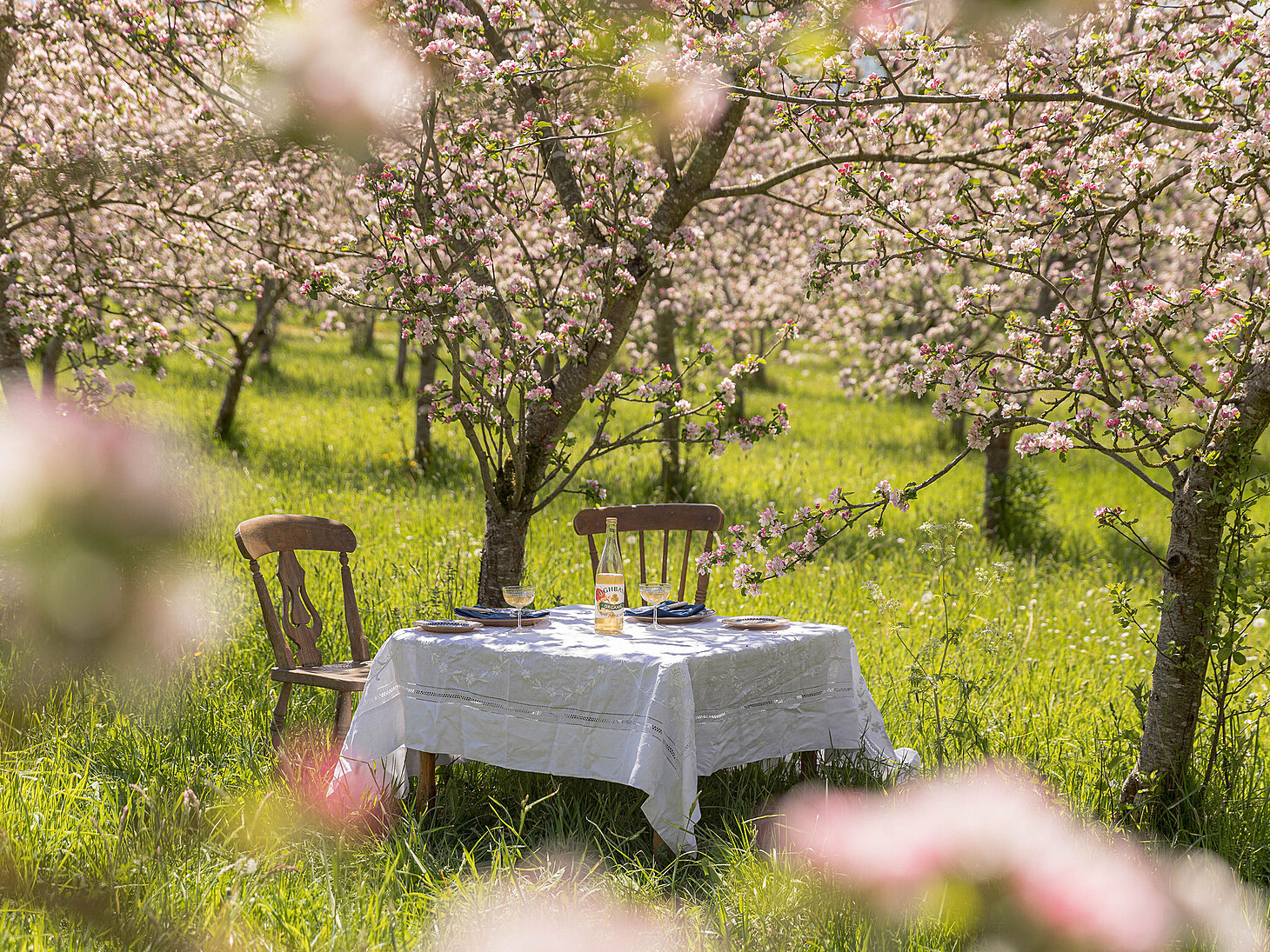 Table setup with Highbank products in the Orchard