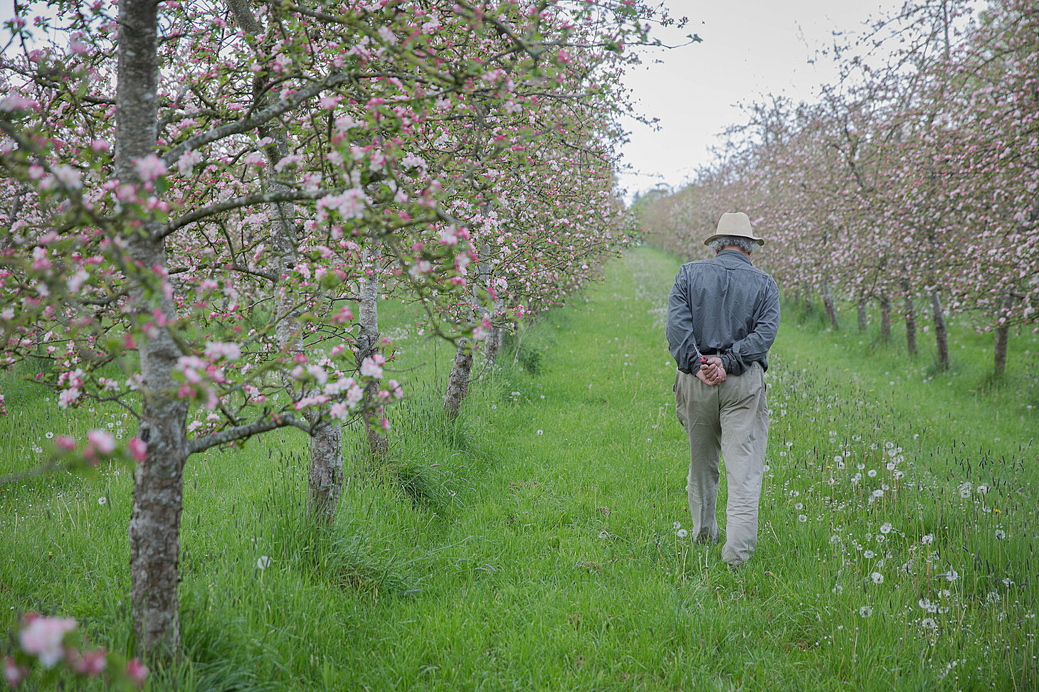 Rod leading a group tour through Highbank Orchard