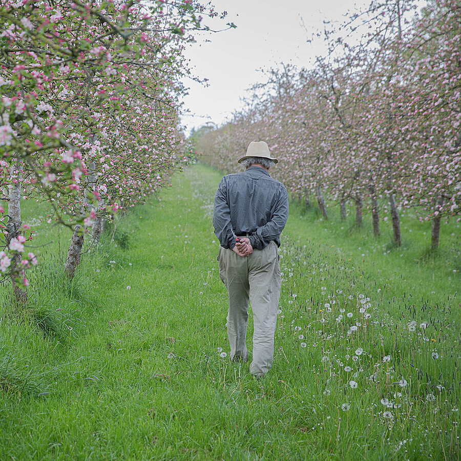 Rod leading a group tour through Highbank Orchard