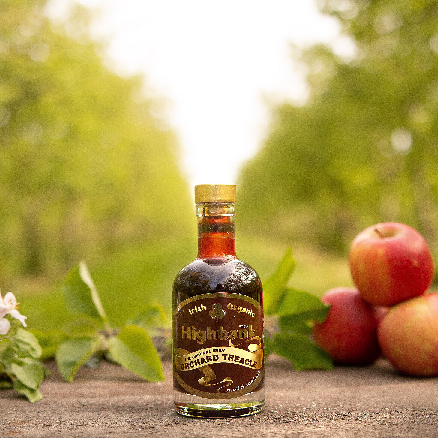 200ml bottle of orchard treacle on wood beside an apple with leaves. dark red label with yellow sash