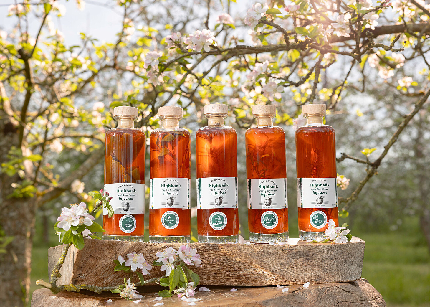 5 tall bottles on wood in the apple blossom full of apple cider vinegar infusions