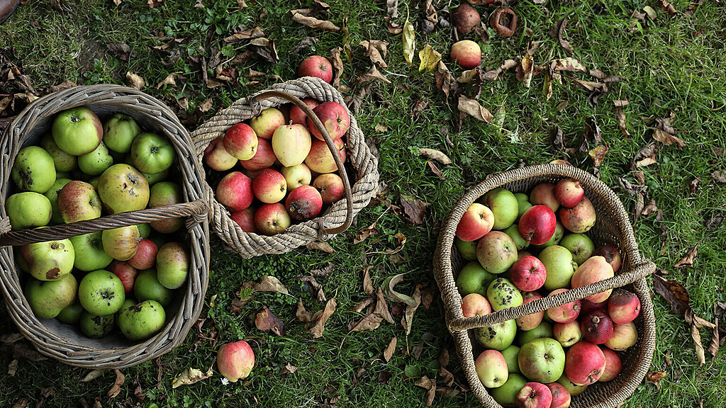Arial view of three baskets of apples