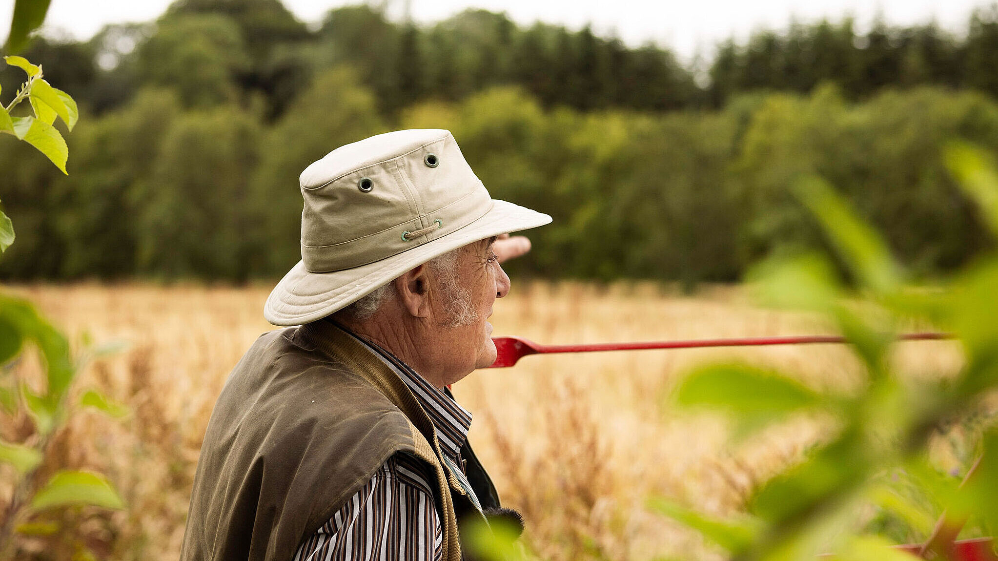 Rod with hat on looking over red Gate to a lovely field of yellow oats