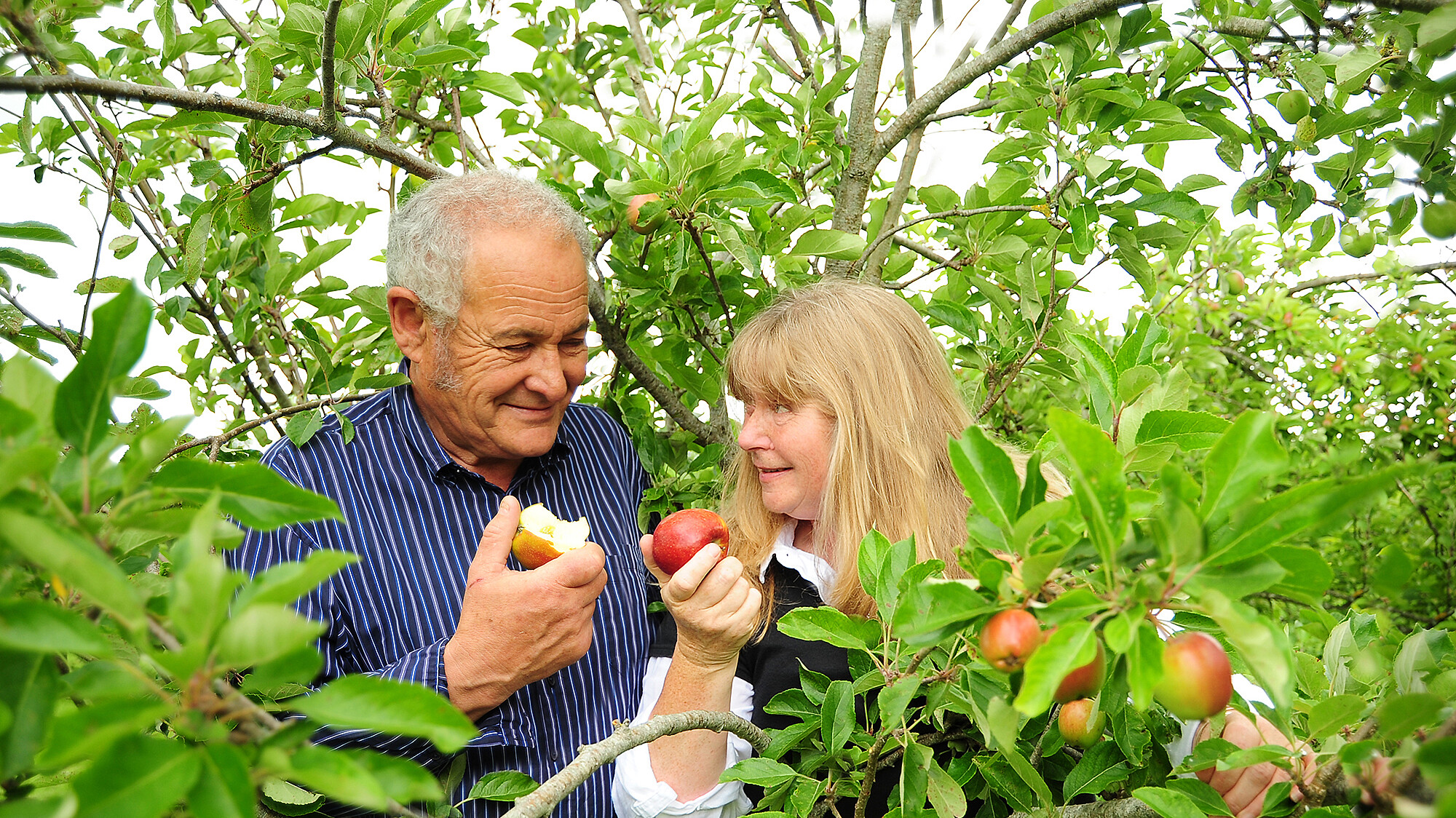 The owners rod and Julie in the orchards sharing the bite of an apple