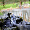 All About our Single Estate Gin - Out of The Rocks