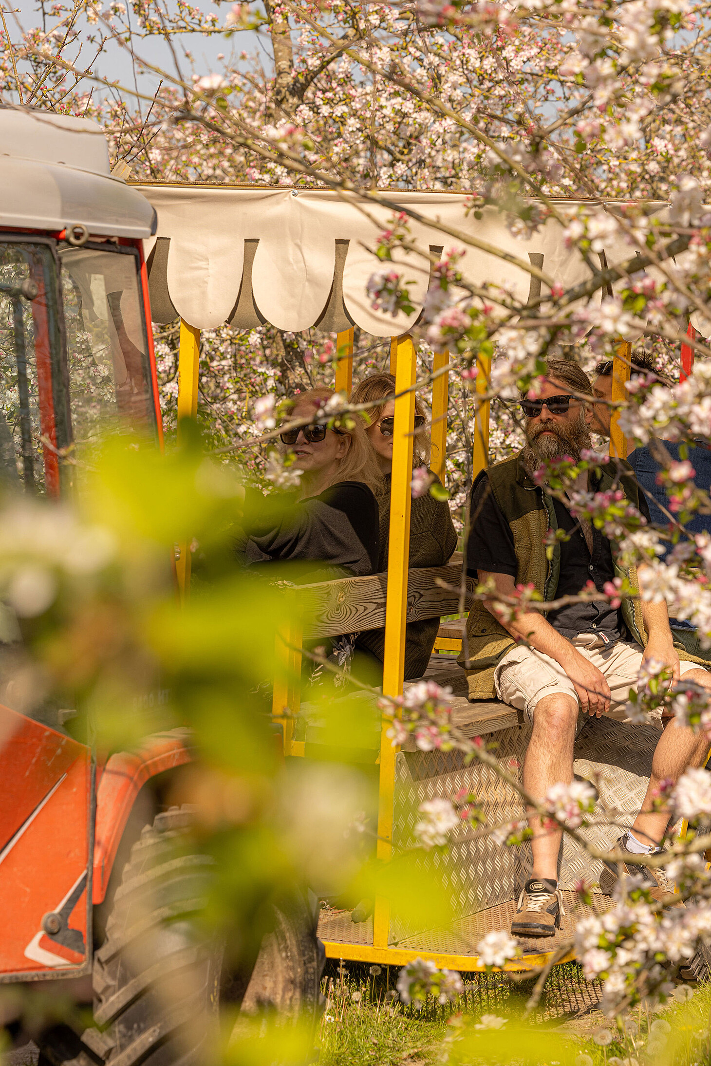 Tour Group travelling through orchard on Orchard Train
