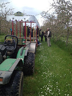 tractor train in orchard with group chatting
