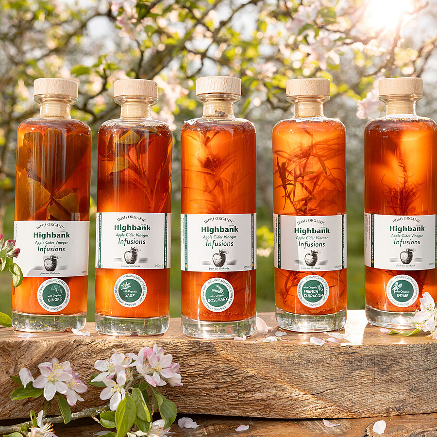 Six 500ml tall glass gold topped bottles full of golden apple cider vinegar with different infusions  including tarragon and rosemary. On wood in the orchards apple blossom. White Label  with circular green spot for each infusion.