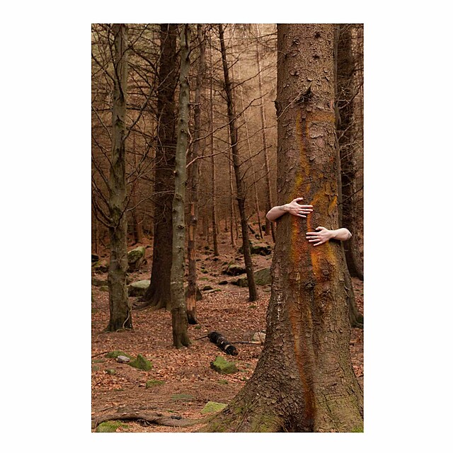 Brown photograph of tree glade with bare arms hugging a tree