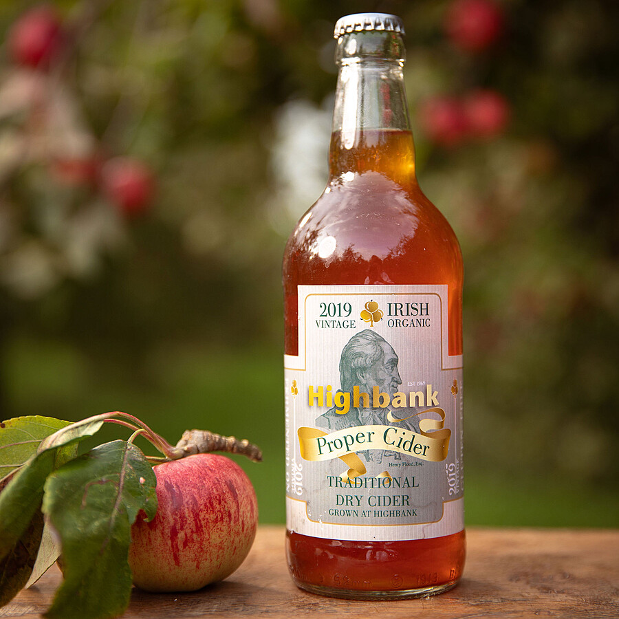 330ml glass bottle of cider in the orchards on wood with red apple in leaves , The label reads Proper Cider with a drawing of Henry Flood