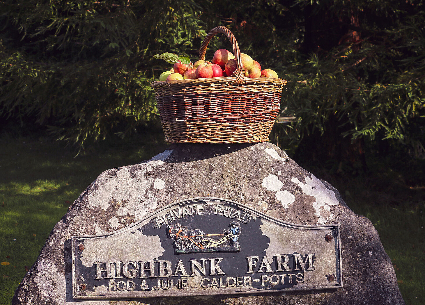 basket of apples on top of round stone sign of Highbank Orchards